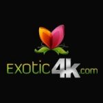 Exotic4K profile photo
